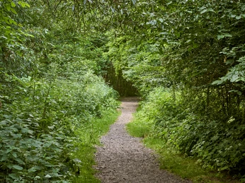 Brücke über die Oker mit Hohlweg und Bank in Schladen Brücke über die Oker mit Hohlweg und Bank in Schladen