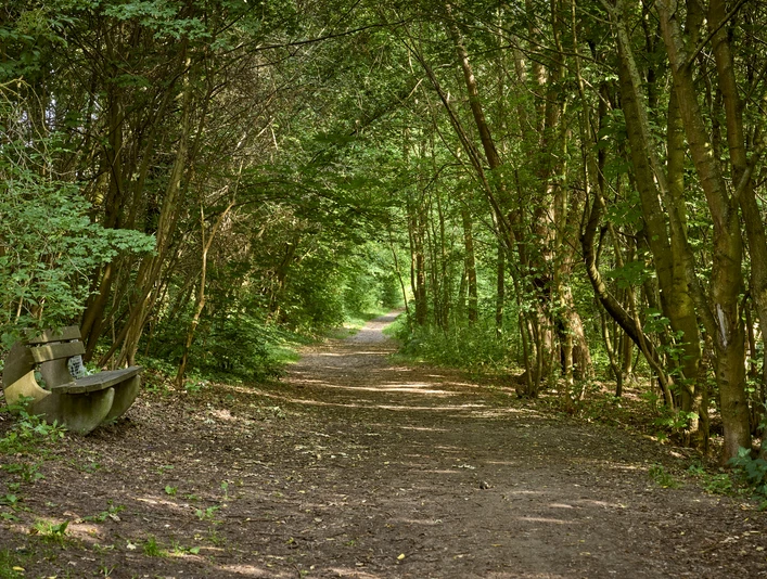 Brücke über die Oker mit Hohlweg und Bank in Schladen Brücke über die Oker mit Hohlweg und Bank in Schladen
