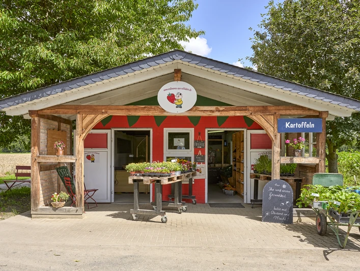 Hofladen Erdbeeren aus Schladen