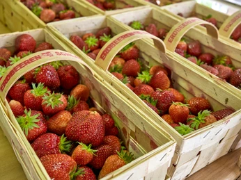 Hofladen Erdbeeren aus Schladen Hofladen Erdbeeren aus Schladen