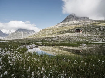 Gletscherstube Mountainbike Erlebnis in der Aletsch Arena