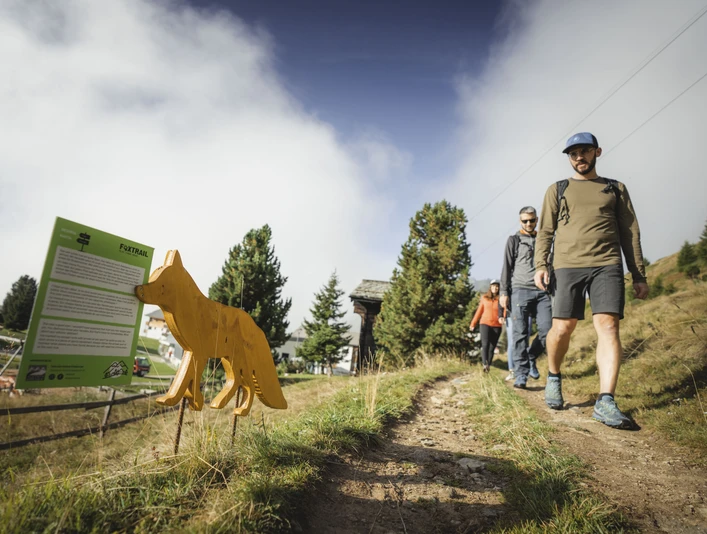 Foxtrail Desoria in der Aletsch Arena Foxtrail Desoria in der Aletsch Arena