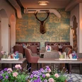 Restaurant Platzhirsch in Pirna Gemütliches Café mit braunen Sesseln, blumengeschmückten Tischen und einem Hirschkopf an der türkis-gelben Wand, im Vordergrund bunte Blumen.