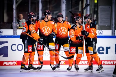 Grizzlys Wolfsburg