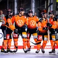 Grizzlys Wolfsburg