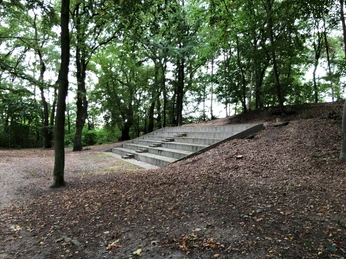 Stufen aus Stein führen durch einen bewaldeten Bereich einer Freilichtbühne unter hohen Bäumen.