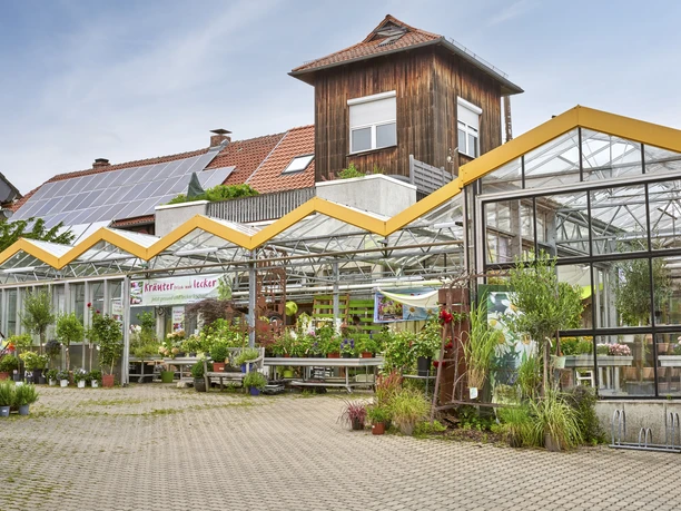 Krügers Elmgärtnerei Evessen Krügers Elmgärtnerei Evessen