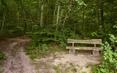 Rastplatz am Wanderparkplatz Rastplatz am Wanderparkplatz