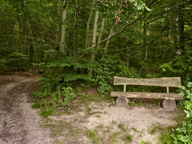 Rastplatz am Wanderparkplatz Rastplatz am Wanderparkplatz