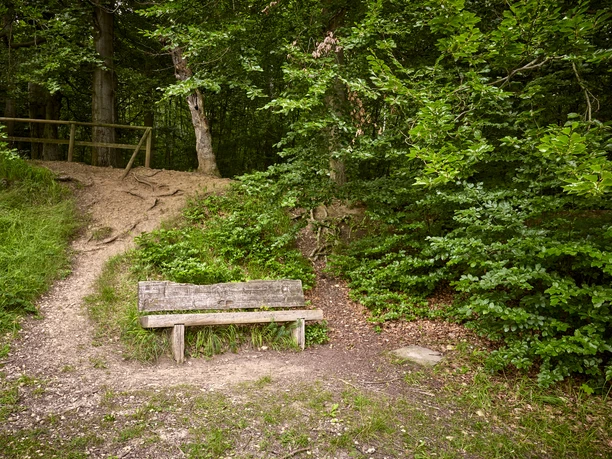 Rastplatz am Wanderparkplatz Rastplatz am Wanderparkplatz