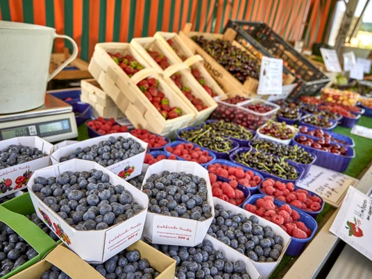 Erdbeerfeld Obsthof Halbhuber Erdbeerfeld Obsthof Halbhuber