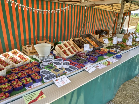 Erdbeerfeld Obsthof Halbhuber