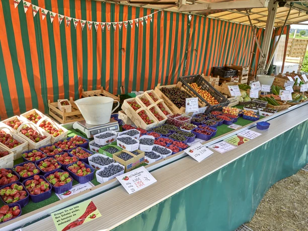 Erdbeerfeld Obsthof Halbhuber