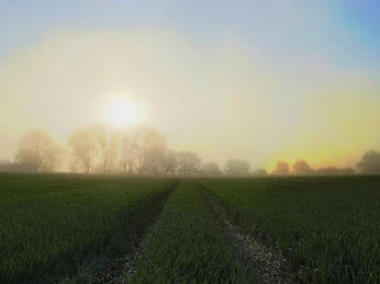 Leinetal im Nebel DK Leinetzal-im-nebel-dk