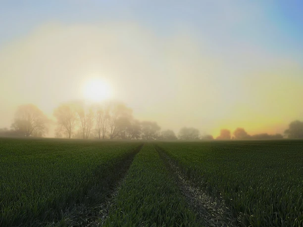 Leinetal im Nebel DK Leinetzal-im-nebel-dk