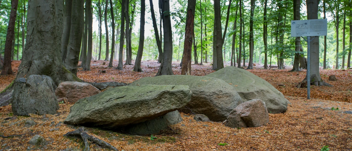 Grote rotsen in een loofbos in Teufelsmoor, omringd door bomen en gebladerte op de grond.