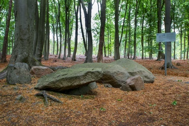 Teufels Backtrog, eines der zwei Steingräber in Belm-Vehrte - Foto_Klaus Herzmann-15-©Tourismusgesellschaft Osnabrücker Land.JPG Large rocks in a deciduous forest in Teufelsmoor, surrounded by trees and foliage on the ground.