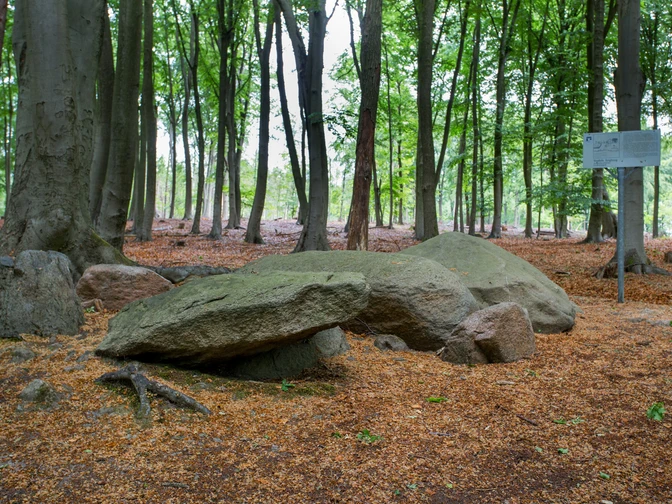 Teufels Backtrog, eines der zwei Steingräber in Belm-Vehrte - Foto_Klaus Herzmann-15-©Tourismusgesellschaft Osnabrücker Land.JPG Große Felsen in einem Laubwald im Teufelsmoor, umgeben von Bäumen und Laub auf dem Boden.Large rocks in a deciduous forest in Teufelsmoor, surrounded by trees and foliage on the ground.Store sten i en løvskov i Teufelsmoor, omgivet af træer og løv på jorden.Grote rotsen in een loofbos in Teufelsmoor, omringd door bomen en gebladerte op de grond.