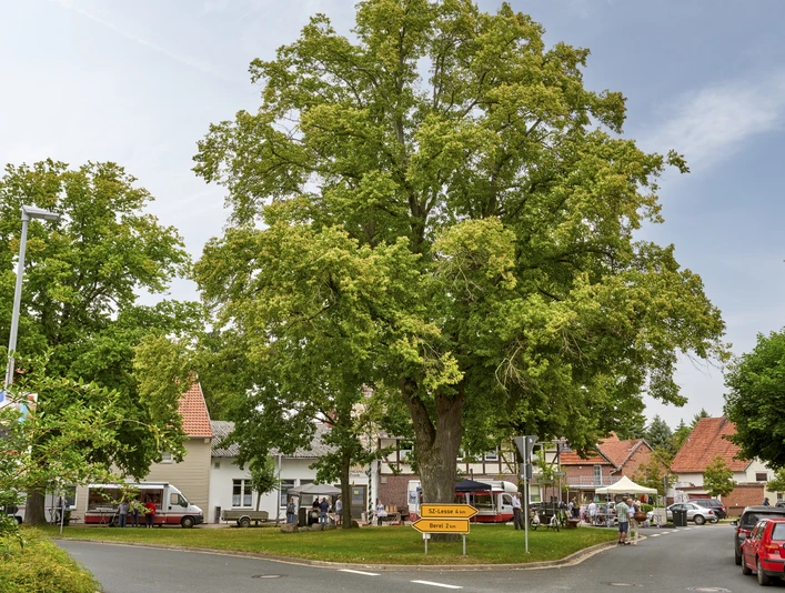 Markt Burgdorf Markt Burgdorf