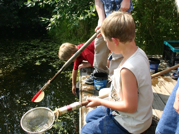 Kinder keschern am Erlebnissteg im BUEZ.jpg