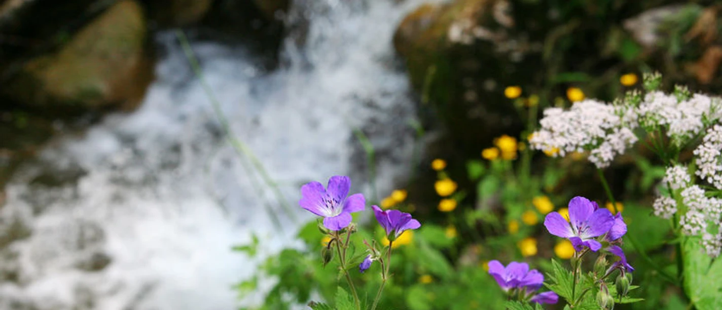 Wasserkessel Schleifmühlklamm