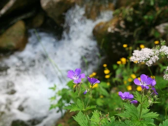 Wasserkessel Schleifmühlklamm