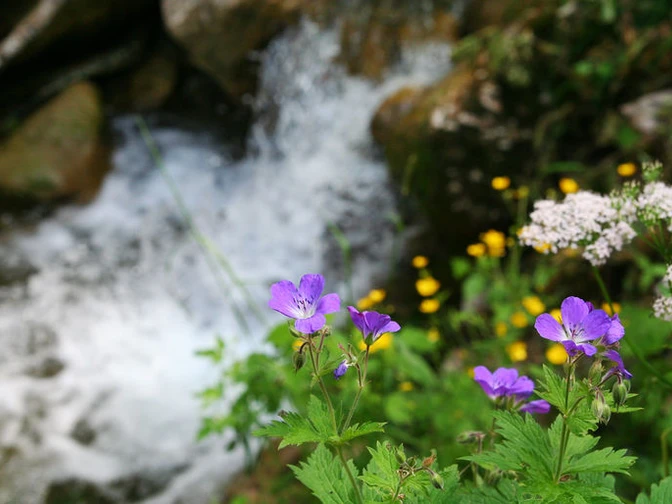 Wasserkessel Schleifmühlklamm