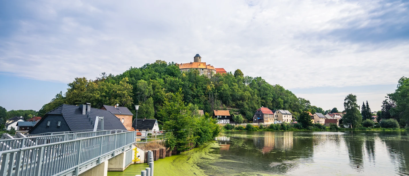 Burg Schönfels mit Burgteich