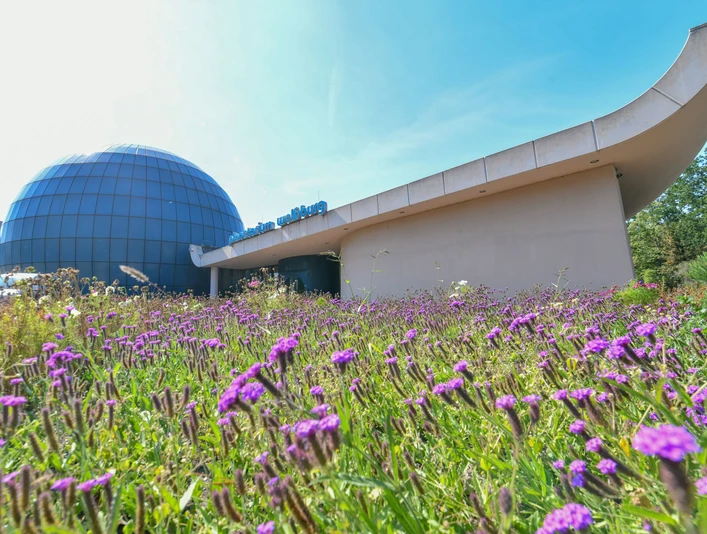 Planetarium Wolfsburg