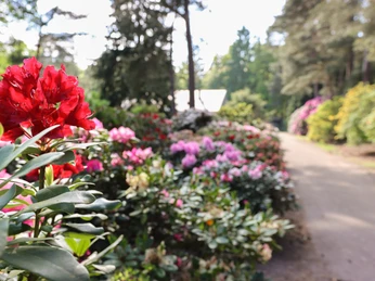 Foto 29.05.21, 17 44 28.jpg