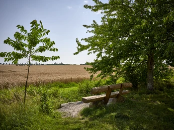 Rastplatz mit Weitblick Salzdahlum Rastplatz mit Weitblick Salzdahlum