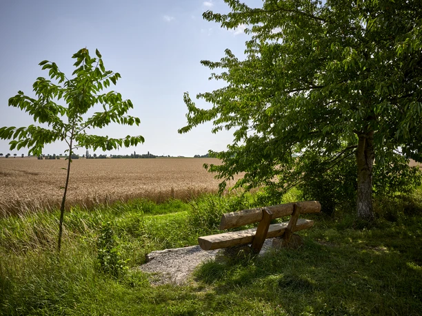Rastplatz mit Weitblick Salzdahlum Rastplatz mit Weitblick Salzdahlum