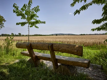 Rastplatz mit Weitblick Salzdahlum Rastplatz mit Weitblick Salzdahlum