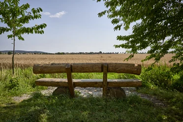 Rastplatz mit Weitblick Salzdahlum Rastplatz mit Weitblick Salzdahlum