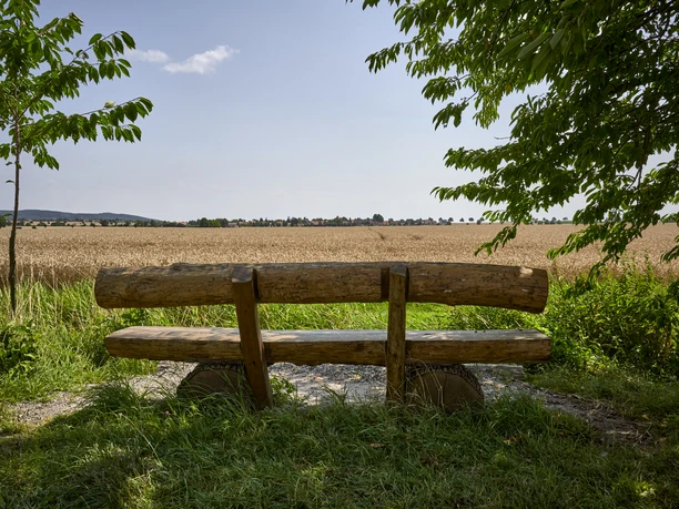 Rastplatz mit Weitblick Salzdahlum Rastplatz mit Weitblick Salzdahlum