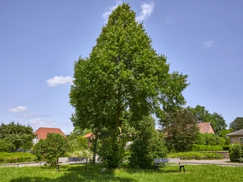Rastplatz Salzdahlum Rastplatz Salzdahlum