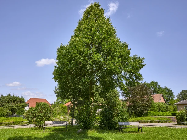 Rastplatz Salzdahlum Rastplatz Salzdahlum