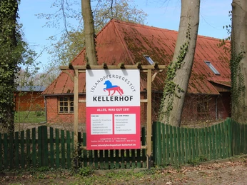 Islandpferdegestüt Kellerhof Wingst