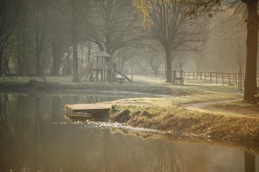 Der Paddelteich in Etteln.jpg Ein ruhiger Teich in Etteln, umgeben von Bäumen und einem Holzsteg, im morgendlichen Nebel.
