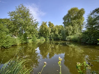 Ruhebank am Teich Cramme Ruhebank am Teich Cramme