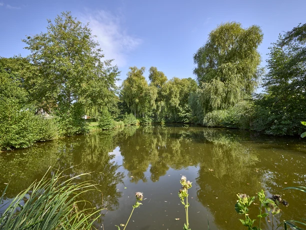 Ruhebank am Teich Cramme Ruhebank am Teich Cramme