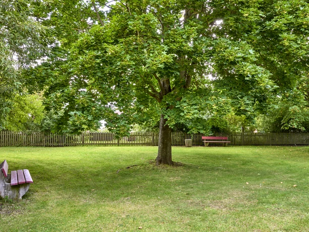Rastplatz und Picknickplatz Groß Dahlum Rastplatz und Picknickplatz Groß Dahlum