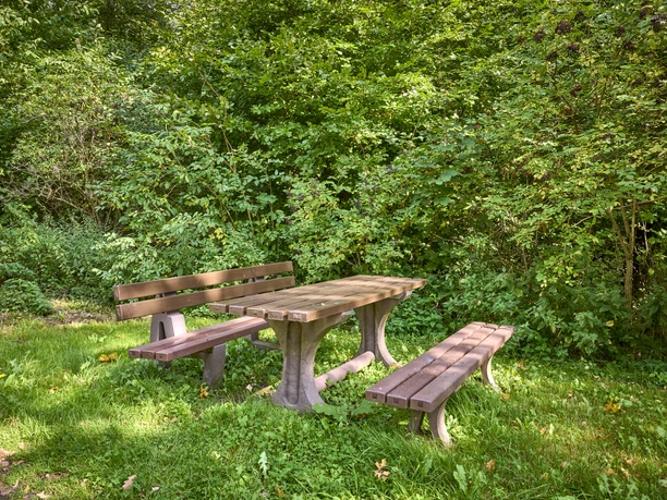 Rastplatz an der Straße Groß Dahlum Rastplatz an der Straße Groß Dahlum