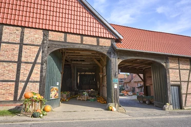 Kürbismeister Börßum Kürbismeister Börßum