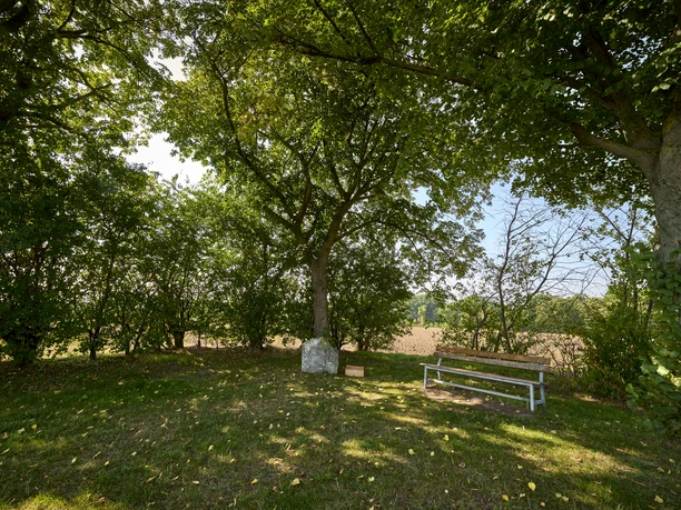 Rastplatz an der Straße bei Kissenbrück Rastplatz an der Straße bei Kissenbrück