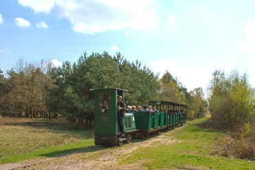 Ströher Moorbahn im Moor