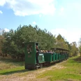 Ströher Moorbahn im Moor