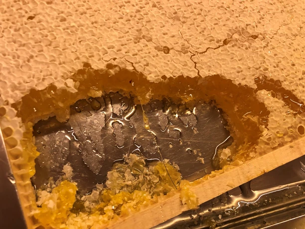 Honigwabe Nahaufnahme einer Honigwabe mit freigelegtem goldenen Honig, umgeben von Bienenwachsstrukturen.