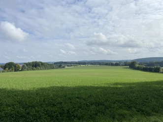Brede groene weide onder een bewolkte hemel, omringd door bomen en heuvels in de verte.
