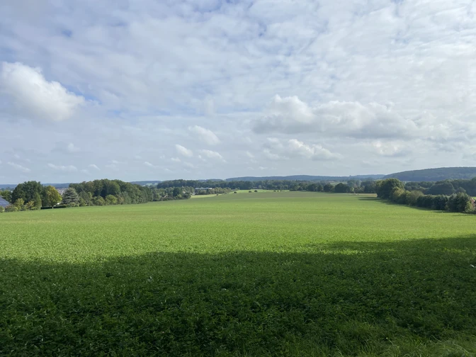 Weite grüne Wiese unter bewölktem Himmel, umgeben von Bäumen und Hügeln in der Ferne.
